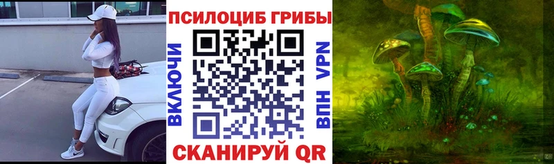 магазин  наркотиков  Тара  Псилоцибиновые грибы Psilocybine cubensis 