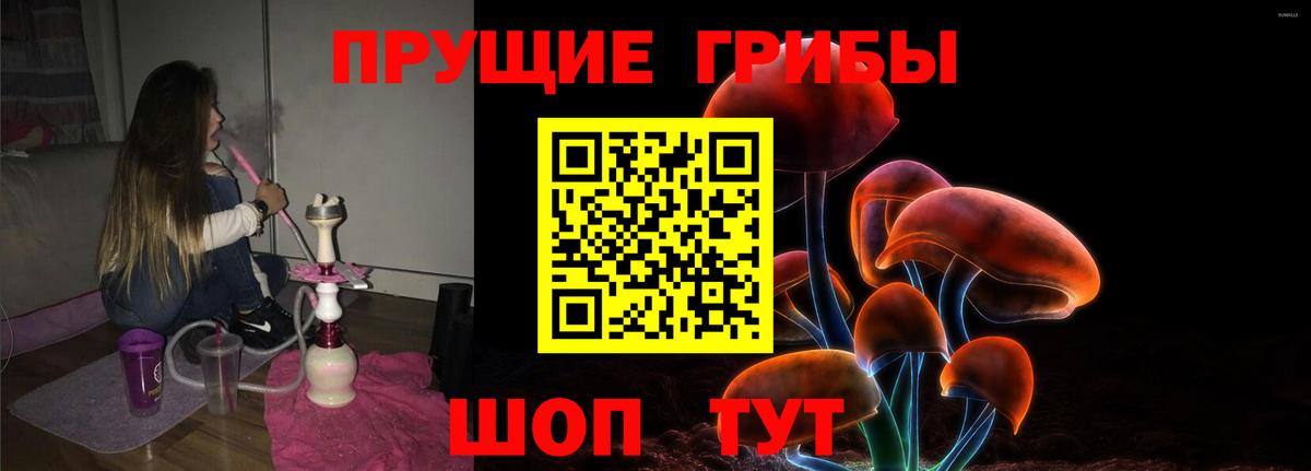 где можно купить наркотик  Галлюциногенные грибы Psilocybine cubensis  Вход с VPN  Тара 